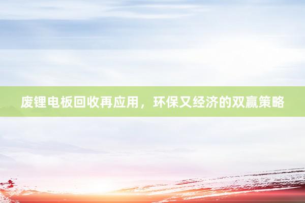 废锂电板回收再应用，环保又经济的双赢策略